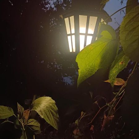 Aam'S Courtyard Hotel Kalimpong Luaran gambar