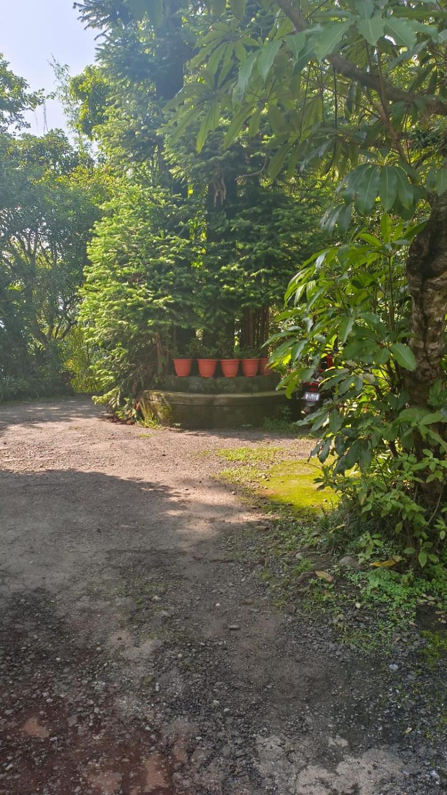 Aam'S Courtyard Hotel Kalimpong Luaran gambar
