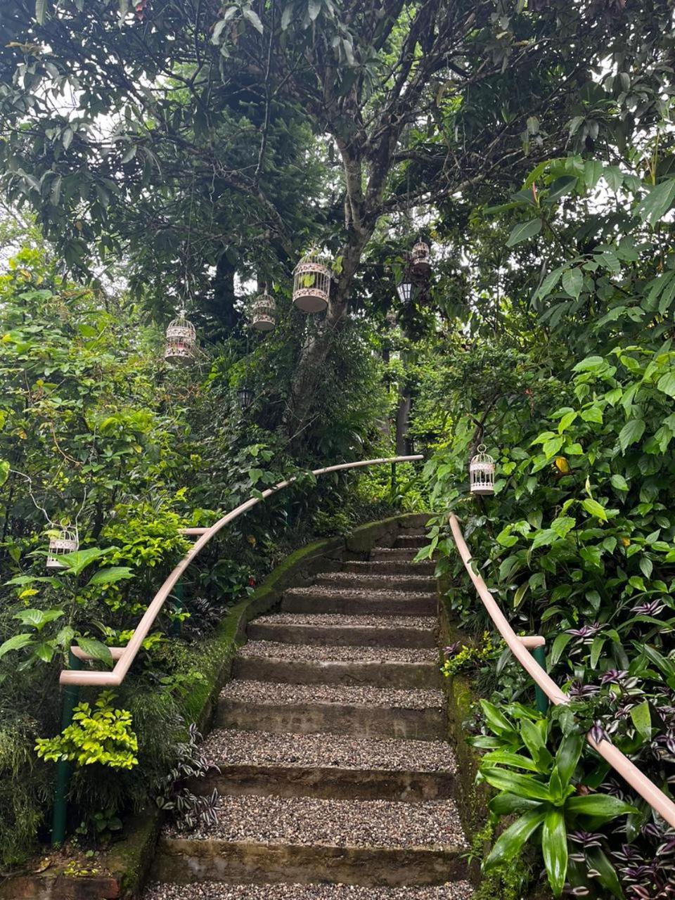 Aam'S Courtyard Hotel Kalimpong Luaran gambar